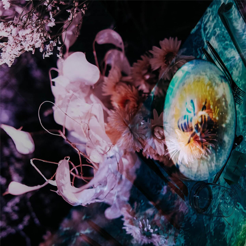 Idejno rešenje i koncept izložbe