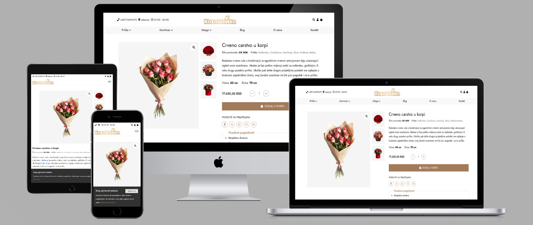 Izrada sajta Beograd - Izrada web sajta - Seo optimizacija